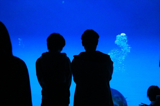 水族館デートするカップル
