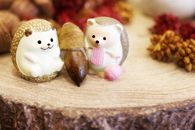 仲良しハリネズミのカップルとどんぐり
